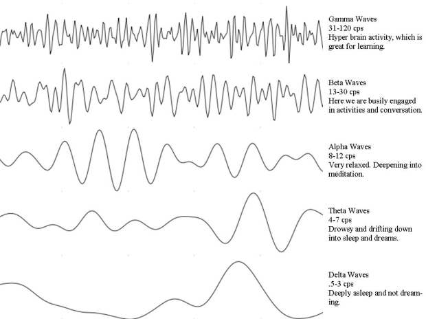 Curated visual reference: Gallery Detail: What Are Beta Brain Waves Improve Focus With Entrainment
