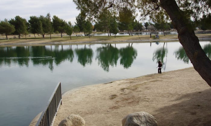 How to Write an Argumentative Essay About Water - Owlcation