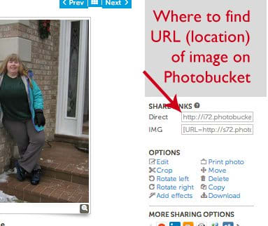 How to Align Images Side-by-Side Using HTML - Owlcation