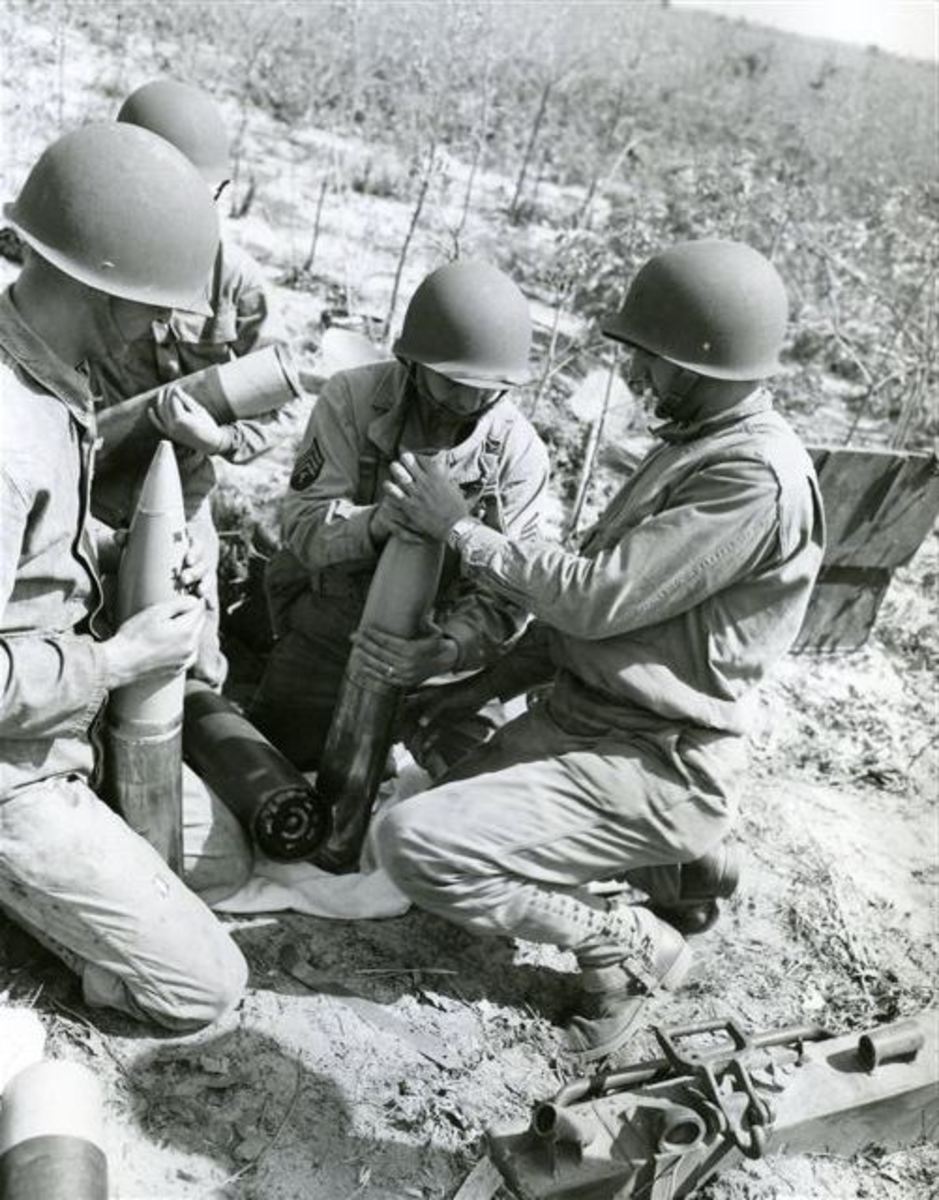 Lions in Winter: The Fighting 106th Infantry Division