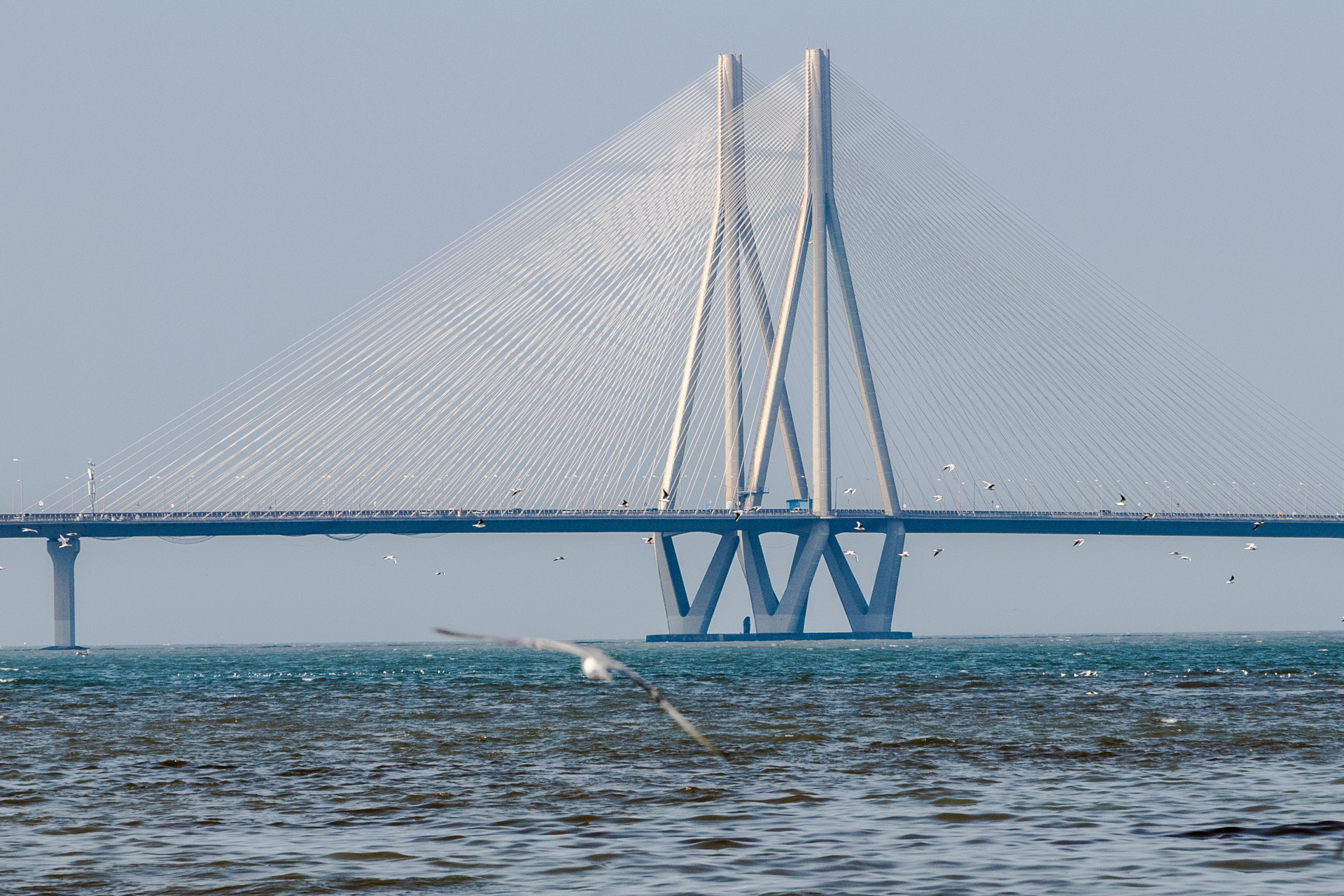 Top 10 Longest and Biggest Bridges in India - Owlcation