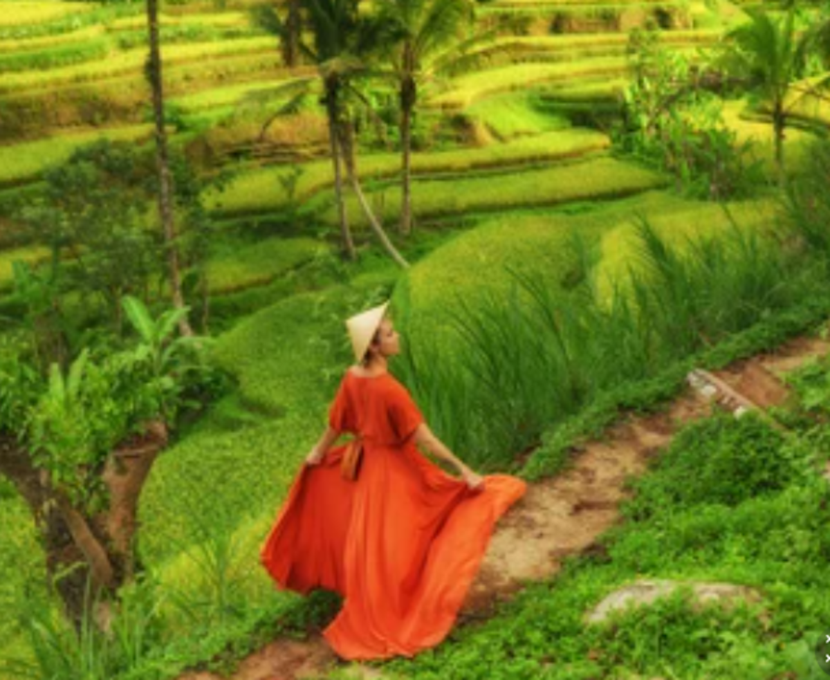 What You Need to Know to Create a Bestselling Romance Novel Owlcation What You Need to Know to Create a Bestselling Romance Novel Owlcation