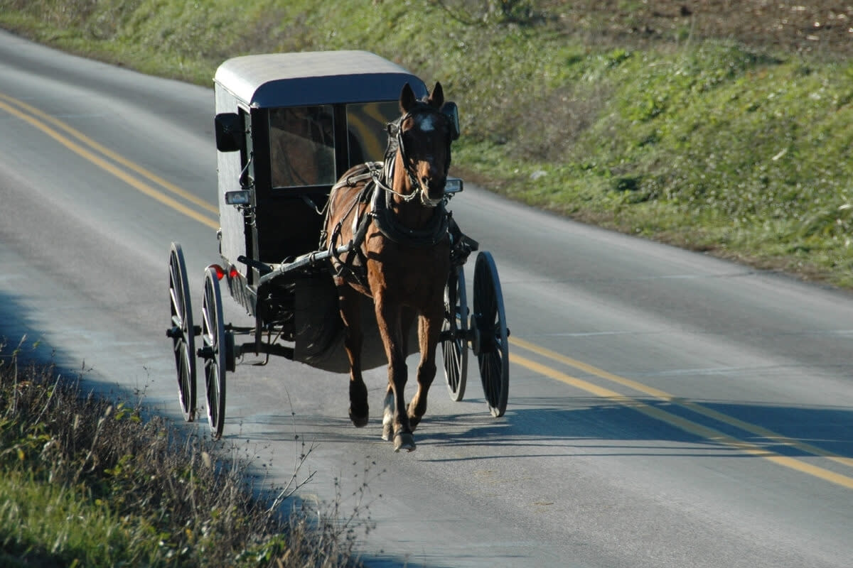 Why Do Some Amish Groups Opt for - Why Do Some Amish Groups Opt For Tooth Extraction