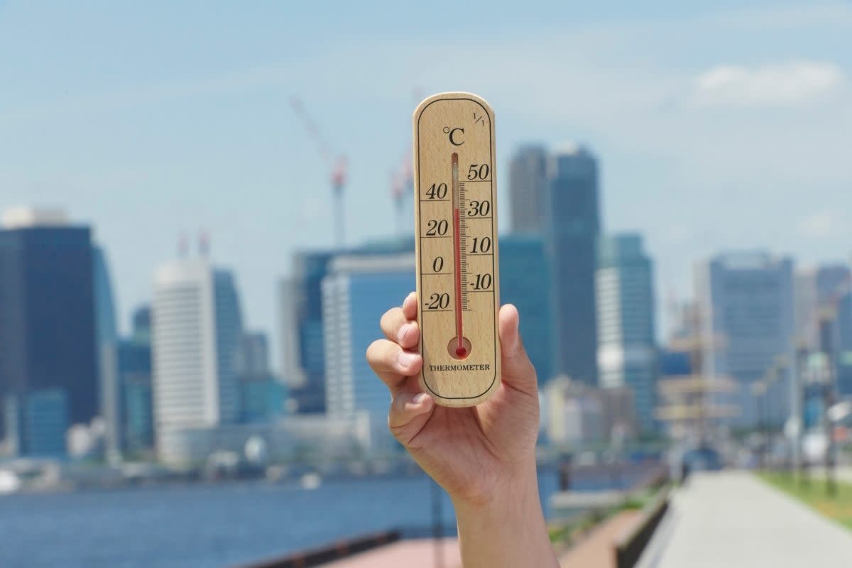 What does feels like temperature mean owlcation