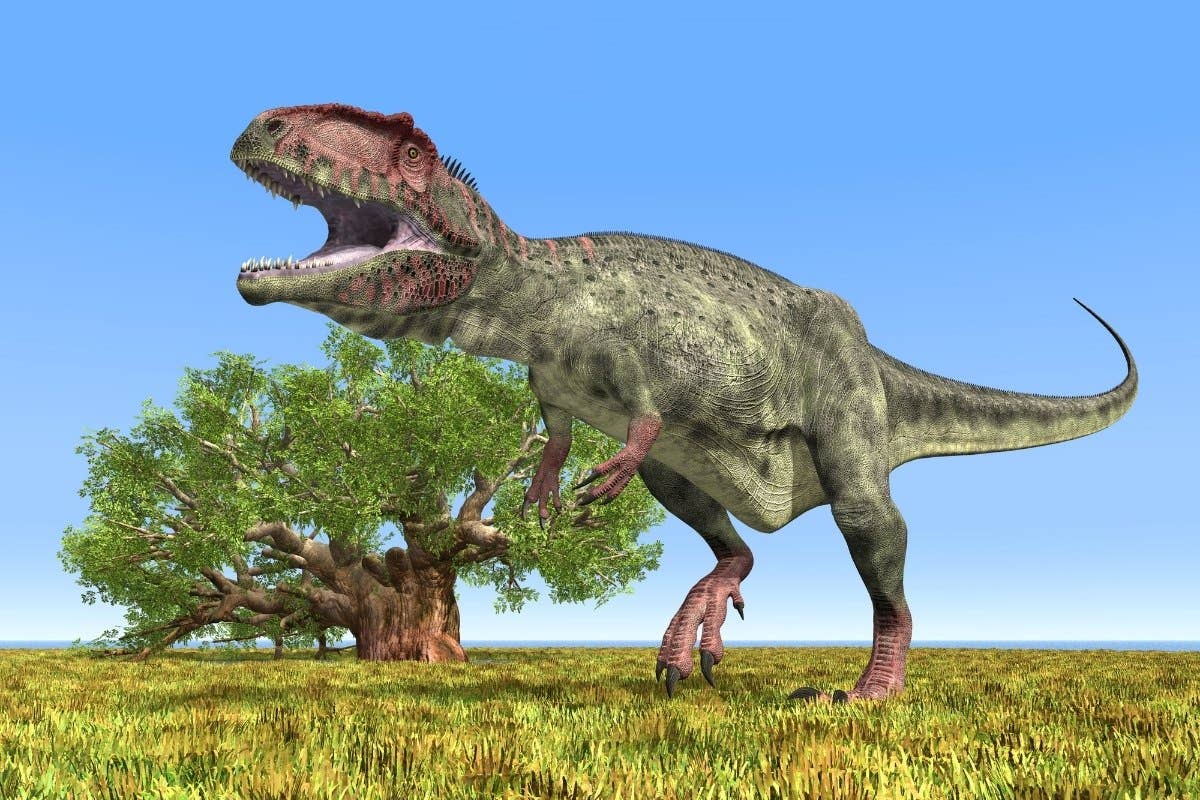 Figurine Jurassic World – Giganotosaure – Grand Dinosaure Carnivore – Occasion