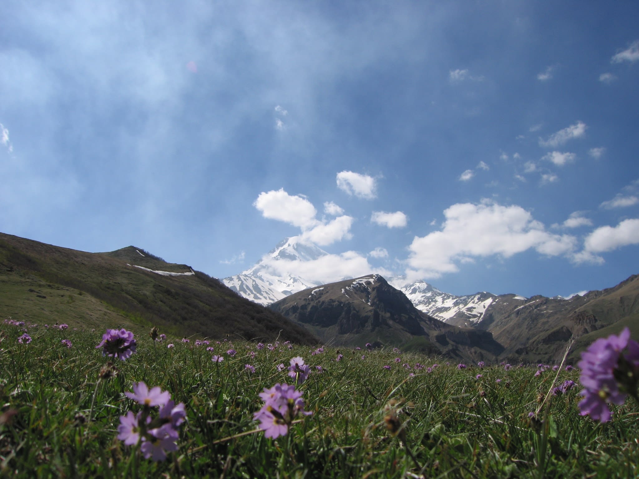 How to spend the perfect 3 days in Black Forest, Germany - Hopping Feet, image size:2048x1536