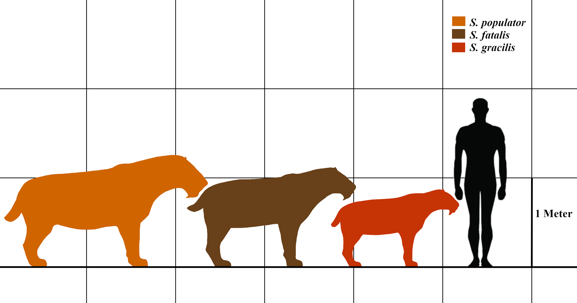 The Saber Tooth Tiger Owlcation